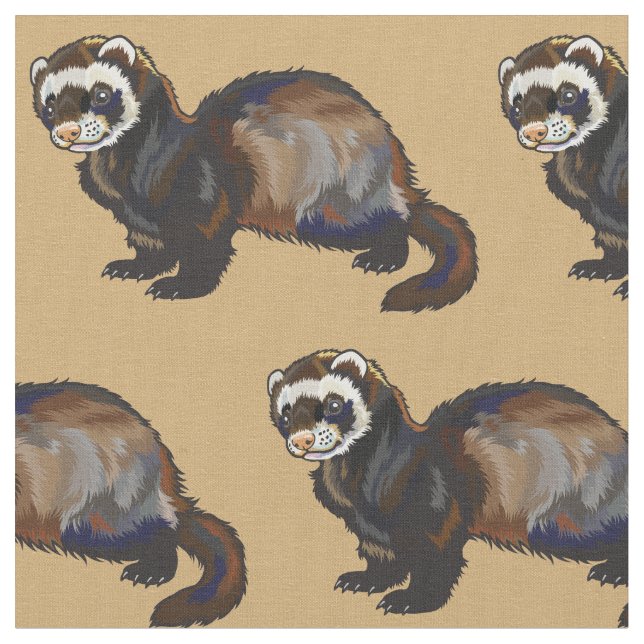 Tela ferret (Mustela putorius furo) (De cerca)