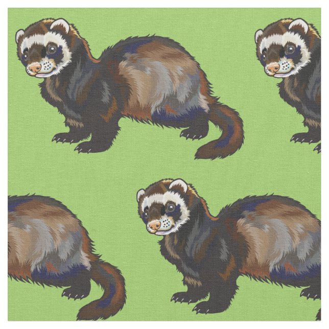 Tela ferret (Mustela putorius furo) (De cerca)