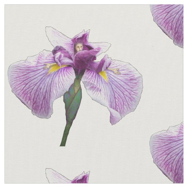 Tela Figura del iris (De cerca)