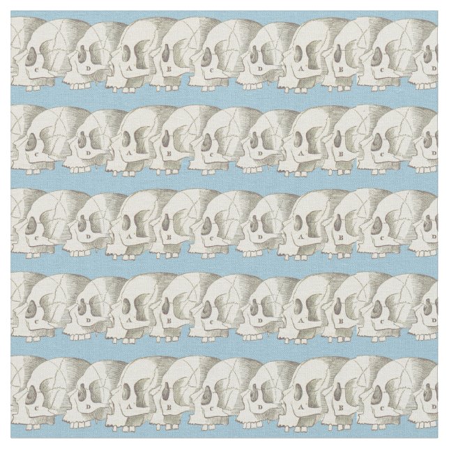 Tela Fila de cráneos (De cerca)