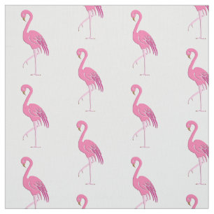 Tela Flamenco rosado bonito, fondo blanco