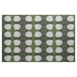 Tela Flor de bonito blanco convolvulso floral con estam