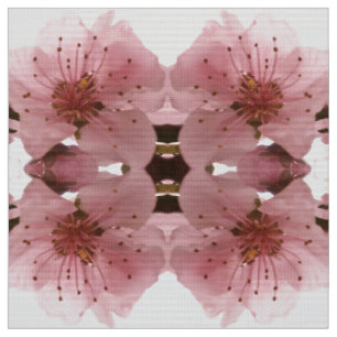 Tela flor de cerezo. Modelo floral de la primavera
