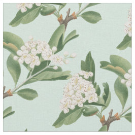 Tela Flor de espina dorsal