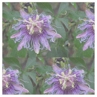 Tela Flor de la pasión