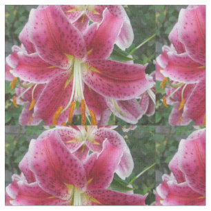 Tela Flor de la púrpura del Stargazer del lirio