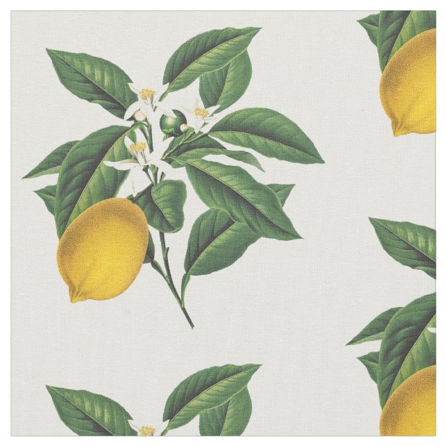 Tela Flor de limón botánico vintage (De cerca)