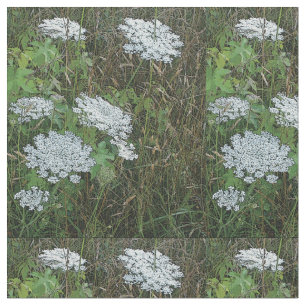 Tela Flor salvaje blanca de encaje de Reina Ana