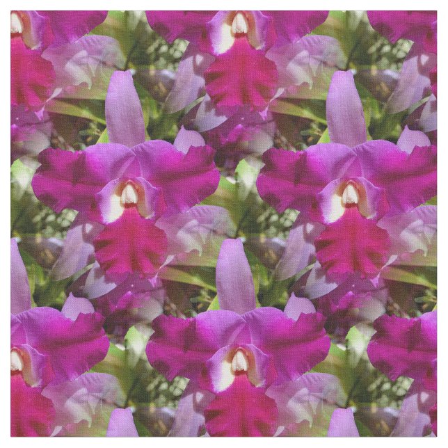 Tela Flor tropical de la orquídea de Cattleya (De cerca)