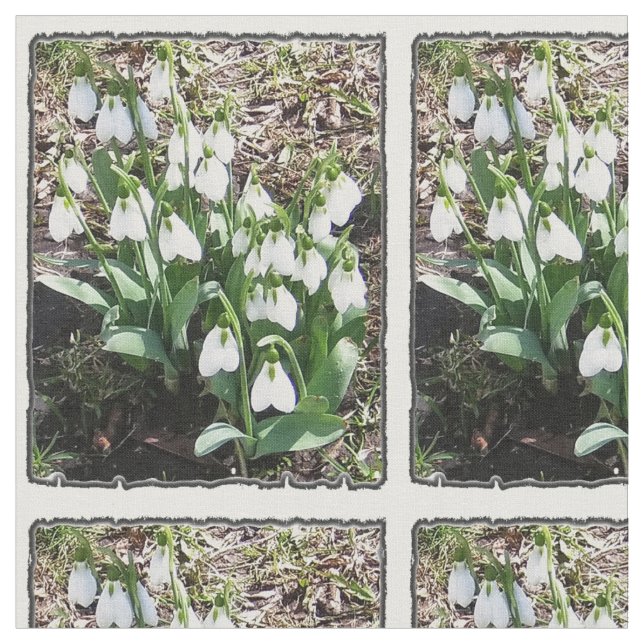 Tela floral de Snowdrops de la primavera (De cerca)