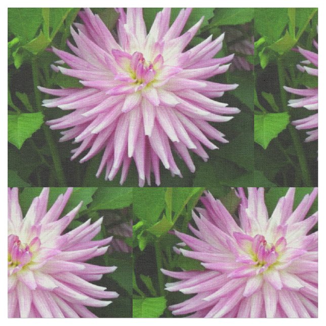 Tela floral rosa (De cerca)