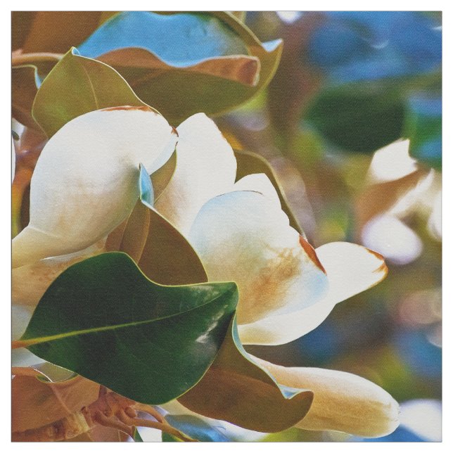 Tela Flores blancas de la magnolia (Retal)