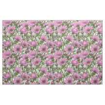 Flores Cosmos rosadas