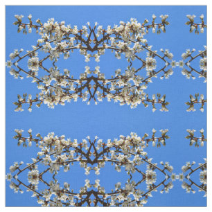 Tela Flores de cerezo blanco de primavera