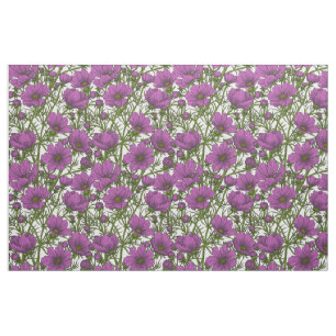 Tela Flores de cosmos violetas