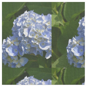 Tela Flores de hidrangea azul Bonito