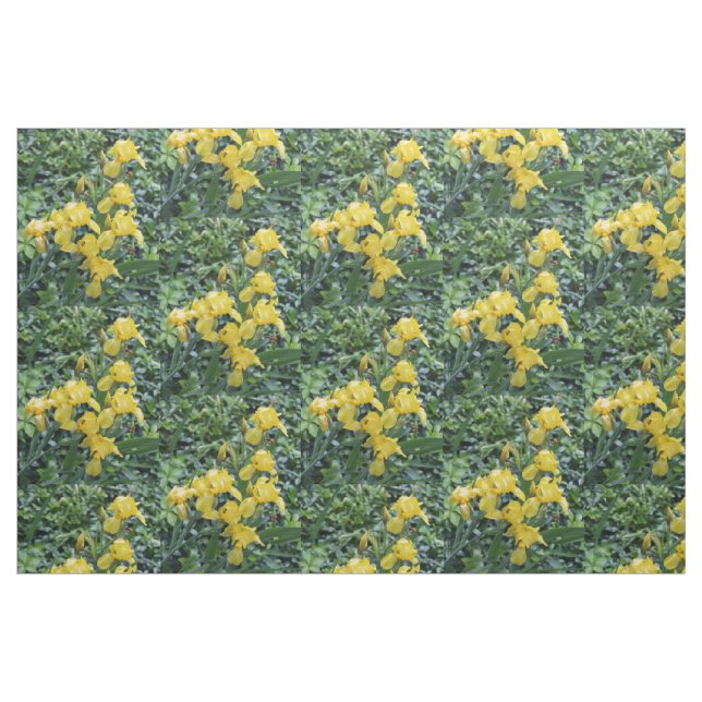 Tela Flores de jardín de irlandeses amarillos bonitos ("Cuarto gordo" (fat quarter))