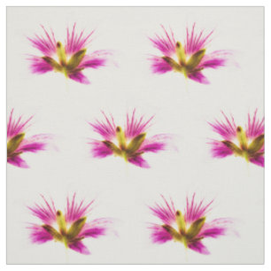 Tela Flores de plumas de primavera