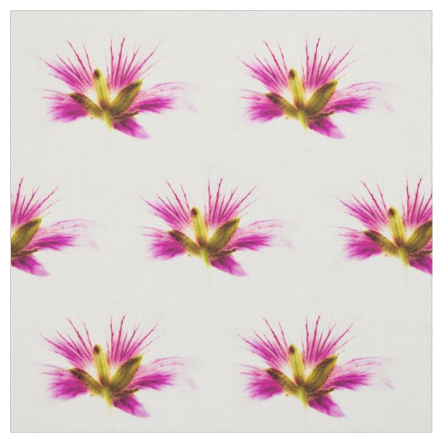 Tela Flores de plumas de primavera (Retal)