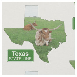 Tela Forma de Texas con Rótulo de línea estatal de acer