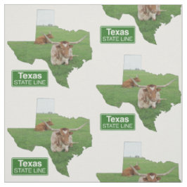 Tela Forma de Texas con Rótulo de línea estatal de acer
