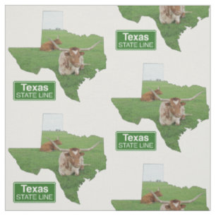Tela Forma de Texas con Rótulo de línea estatal de acer
