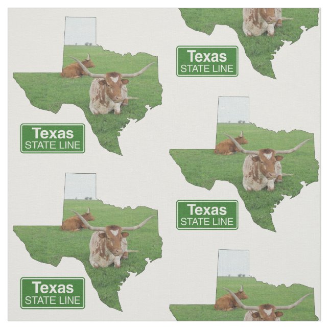 Tela Forma de Texas con Rótulo de línea estatal de acer (Retal)