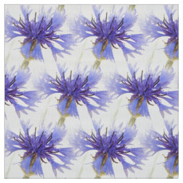 Tela Foto de Blue Cornflower -