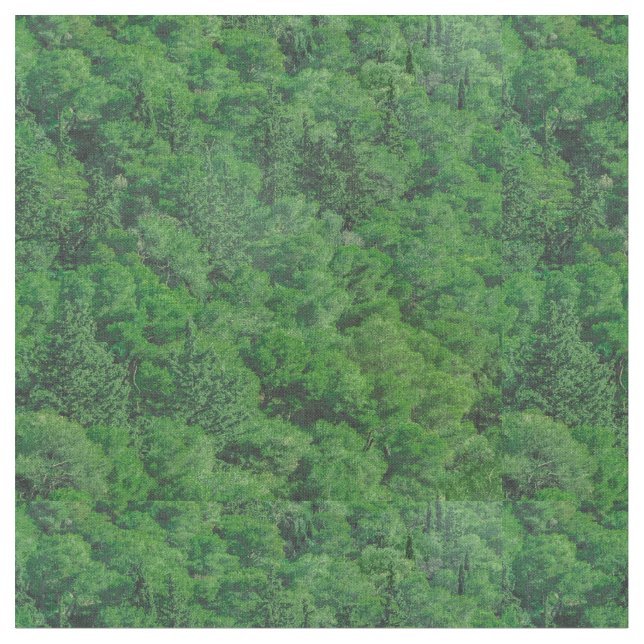 Tela Foto de paisaje forestal de Leafy (De cerca)