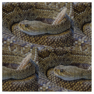 Tela Foto de Rattlesnake