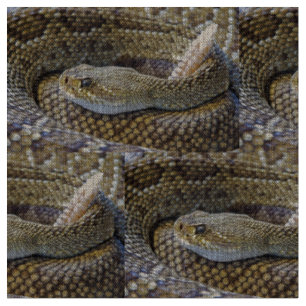 Tela Foto de serpiente de cascabel