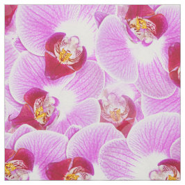 Tela Foto radiante de la naturaleza de la orquídea de
