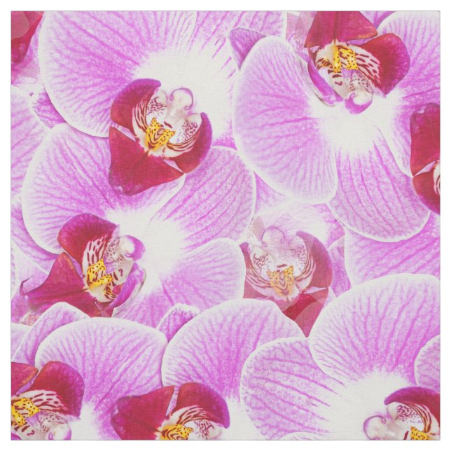 Tela Foto radiante de la naturaleza de la orquídea de (Retal)