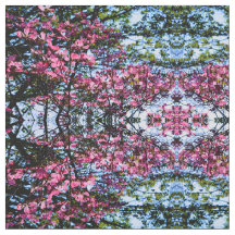 Fotografía de un árbol de dogwood con flores rosad