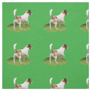 Tela Fox Terrier The Stance, Fabric