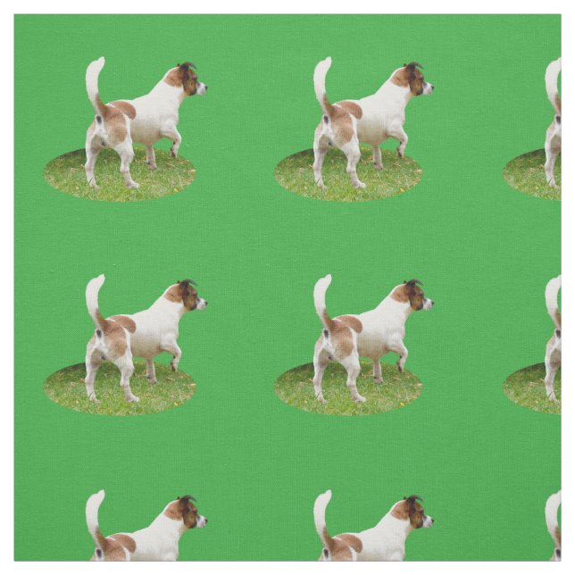 Tela Fox Terrier The Stance, Fabric (Retal)