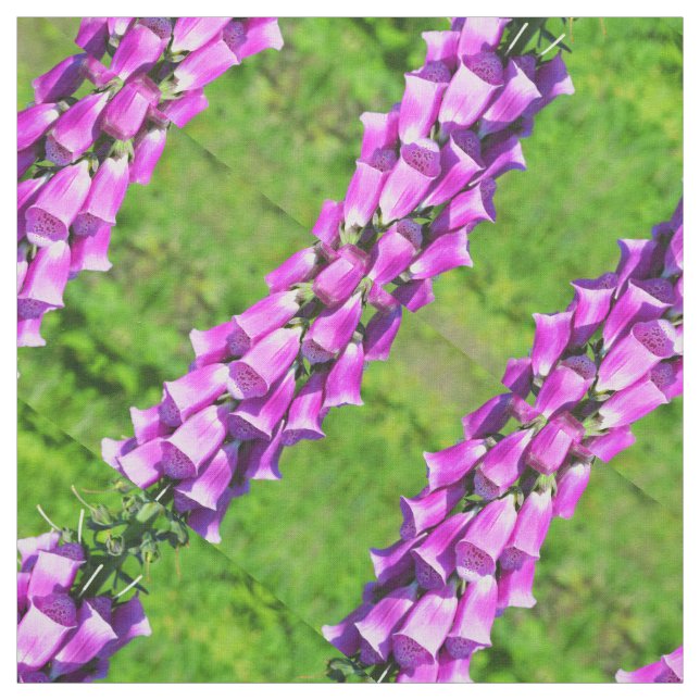 Tela Foxgantes (Retal)