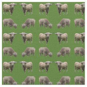 Tela Frenesí de Vaca de las Tierras Altas (Verde O