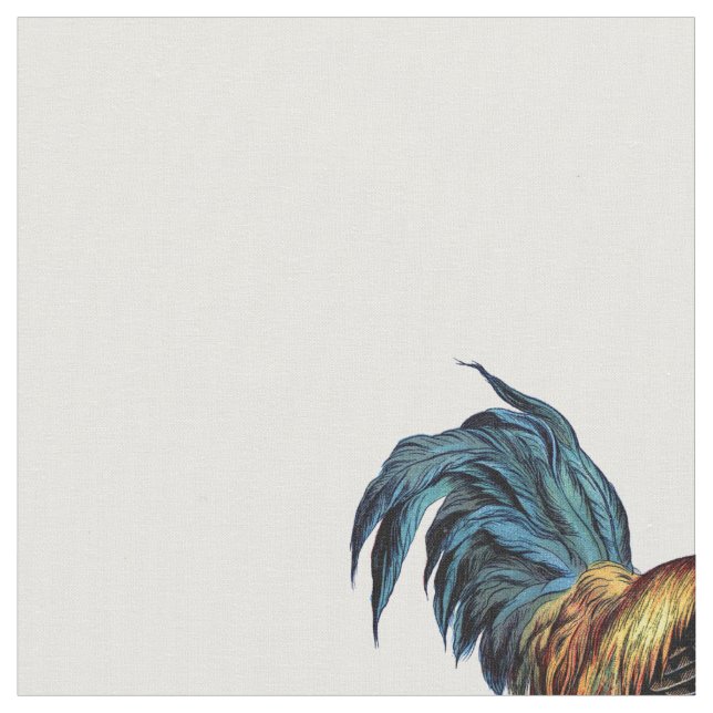 Tela Gallo (De cerca)