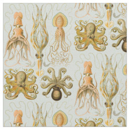 Tela Gamochonia de Ernst Haeckel