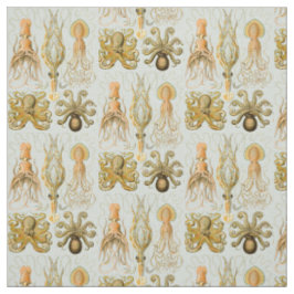 Tela Gamochonia de Ernst Haeckel