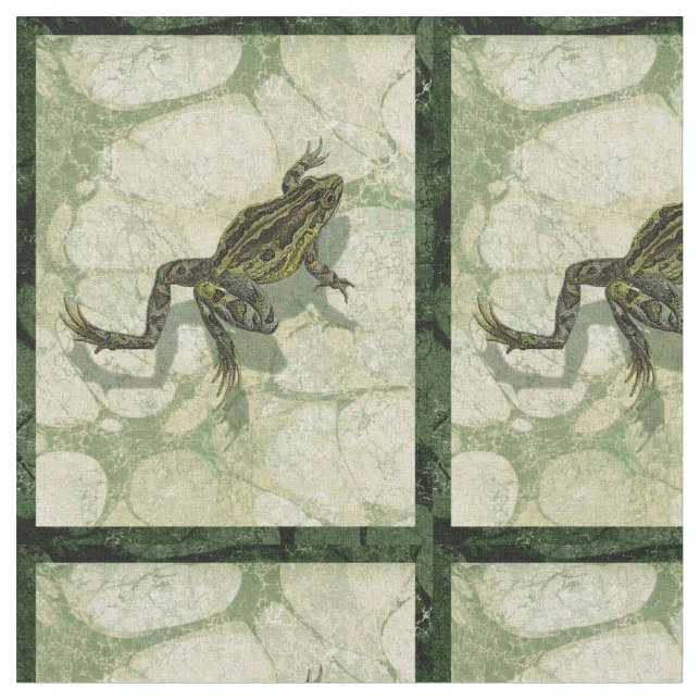 Tela Ganancia de toad en el agua (De cerca)