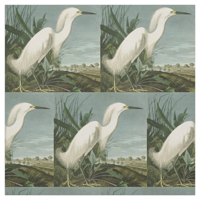 Tela Garza Blanca de Audubon Ave Birding (Retal)