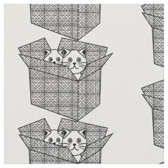 Tela Gatitos en una caja Thunder_Cove (De cerca)
