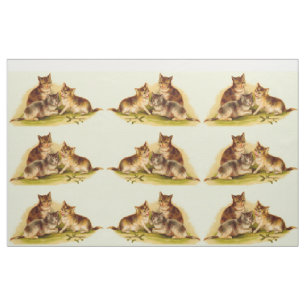 Tela gatitos victorianos