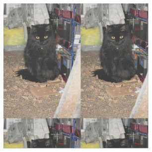 Tela Gato