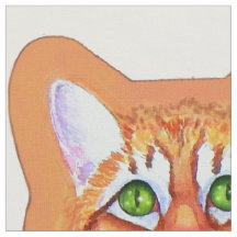 Gato de Tabby con almohada de ratones bailarines