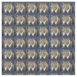 Tela Gato de tabby marrón de ojos verdes lindo que