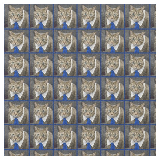 Tela Gato de tabby marrón de ojos verdes lindo que (De cerca)