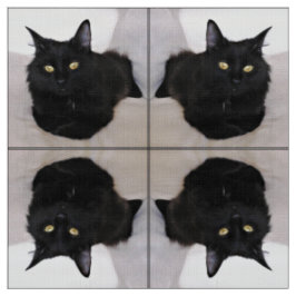 Tela Gato en el sofá